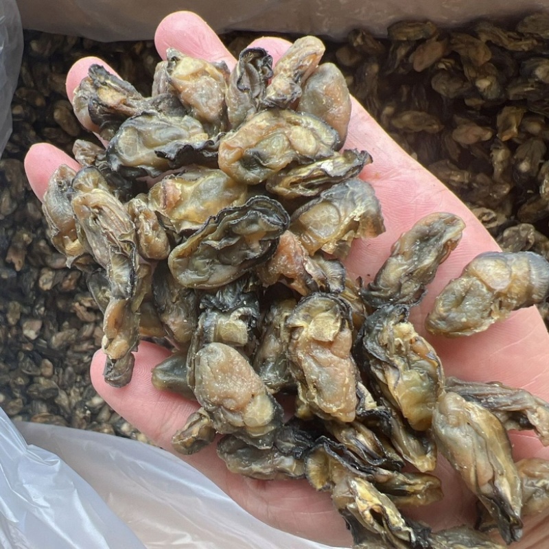 蚝干蚝豉海蛎干蚝肉生蚝干