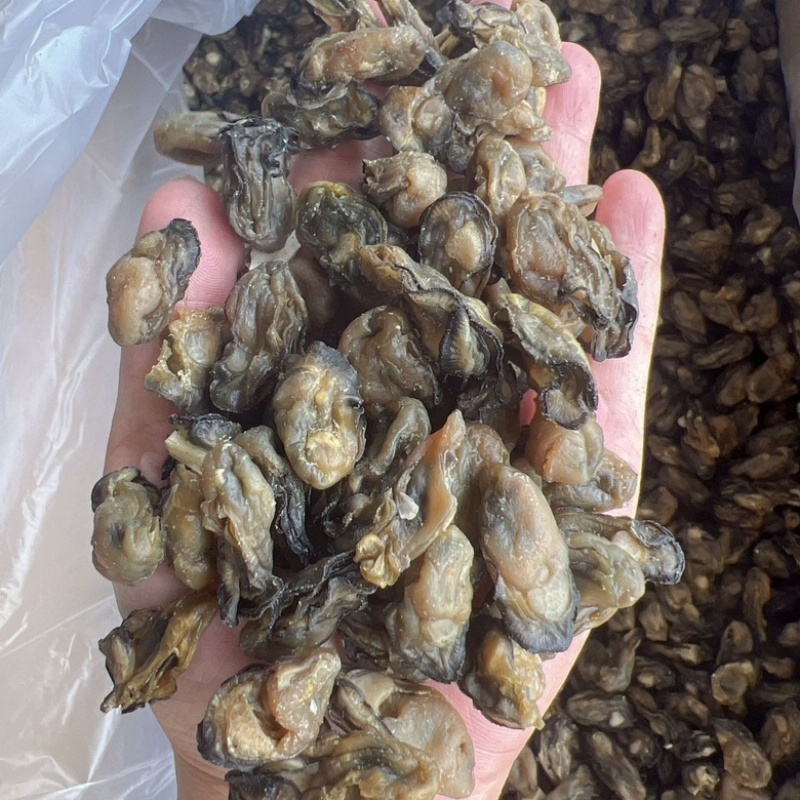 蚝干蚝豉海蛎干蚝肉生蚝干