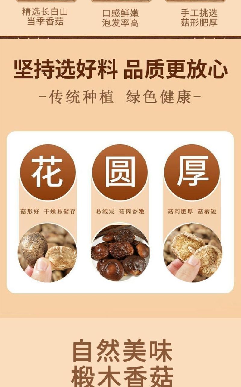 秦岭高山椴木香菇