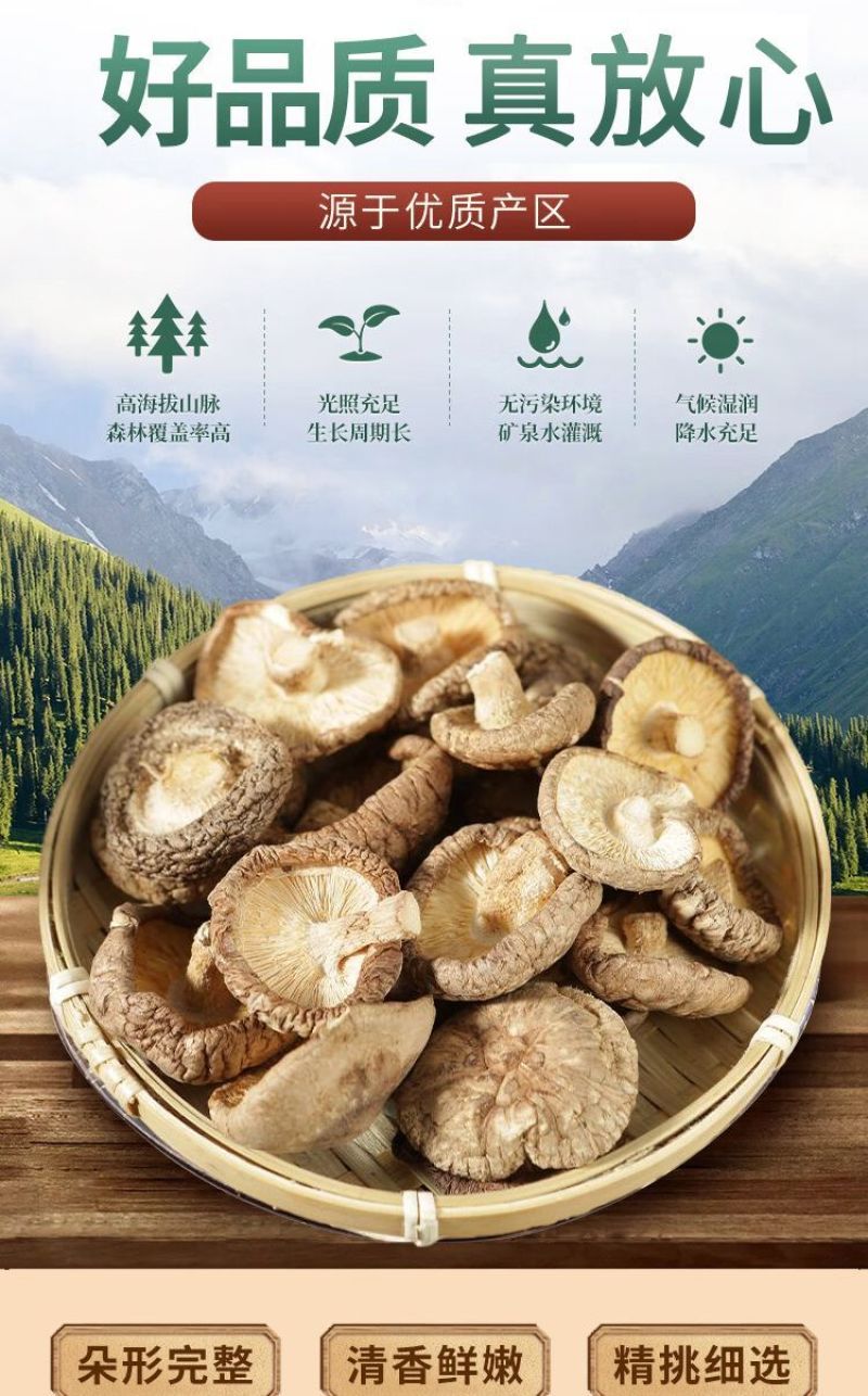 秦岭高山椴木香菇