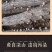 秦岭高山椴木香菇