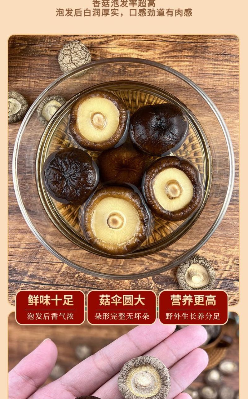秦岭高山椴木香菇