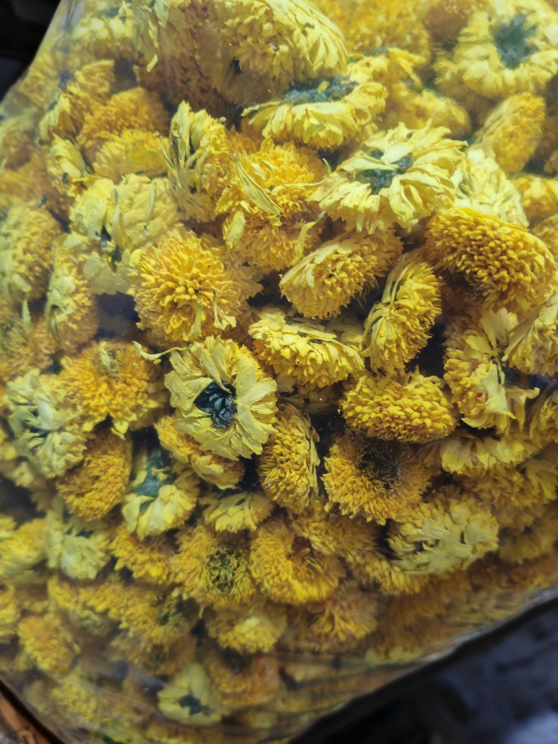 【推荐】黄山皇菊，大皇菊茶价格美丽欢迎洽谈