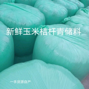 新鲜玉米桔杆青储料