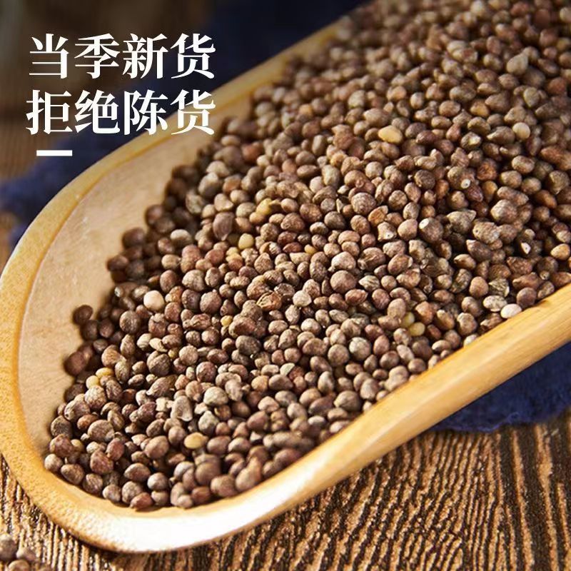 山西沙苑子正品