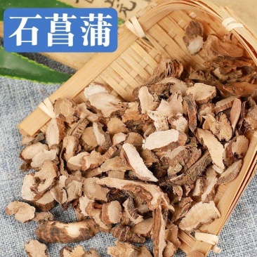 大别山石菖蒲
