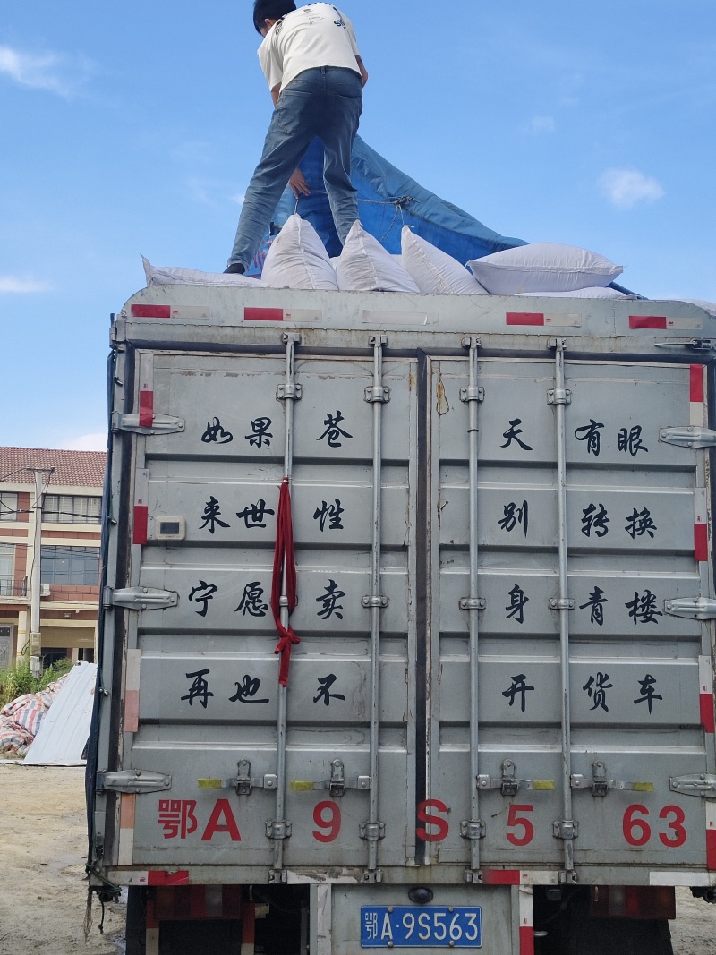 无沙梅干菜