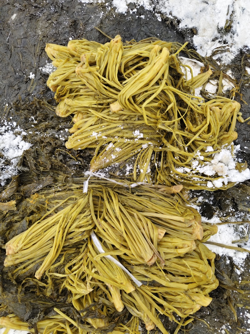 无沙梅干菜