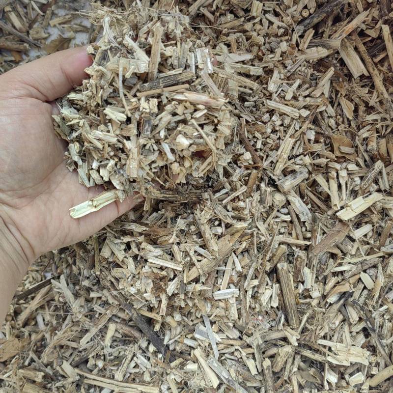 桑枝木屑（代替玉米芯）