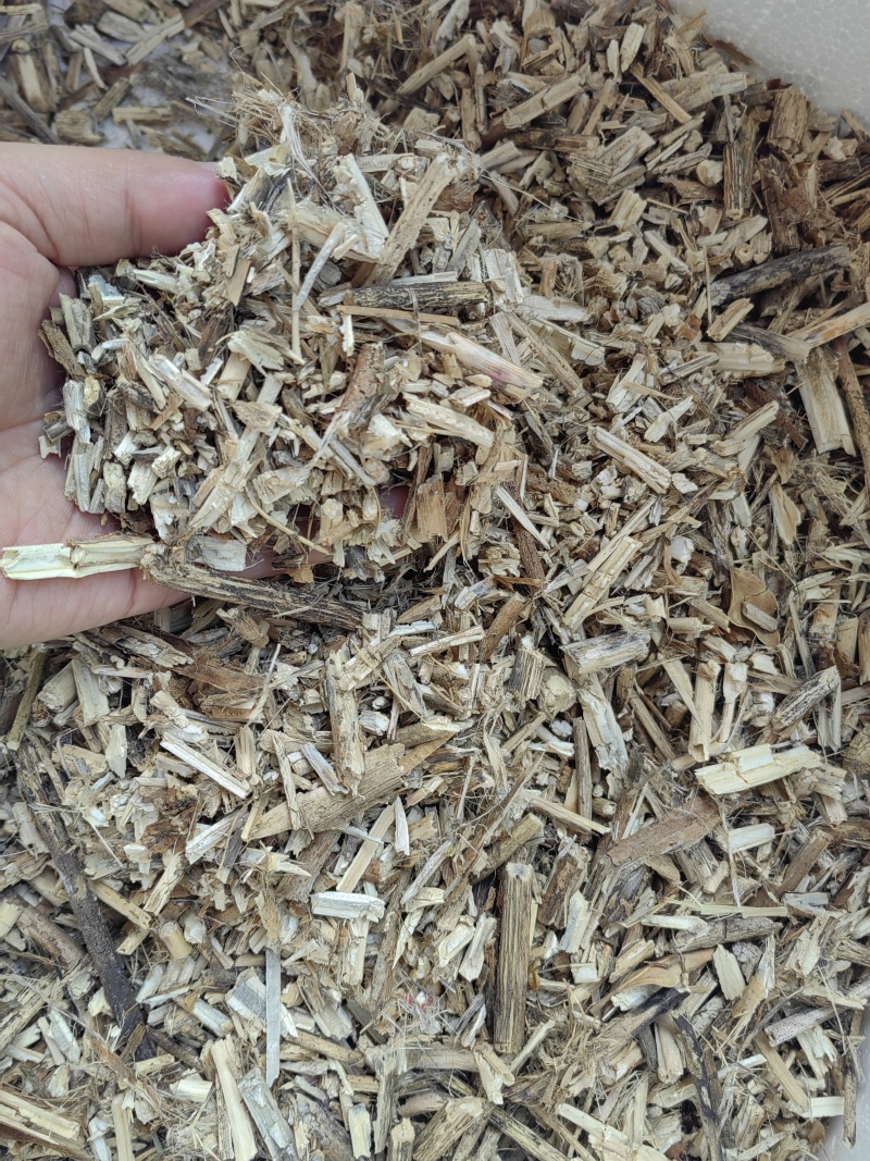 桑枝木屑（代替玉米芯）
