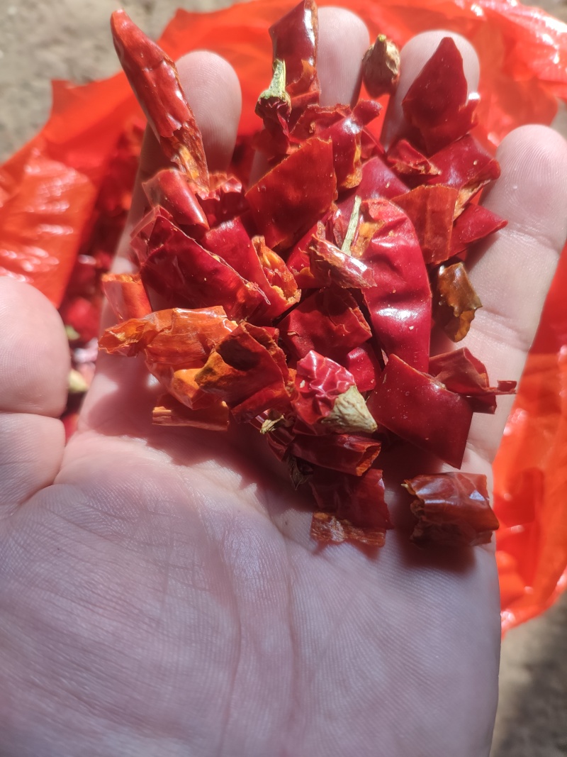 自然风干巨辣干辣椒魔鬼辣小米辣香辣辣