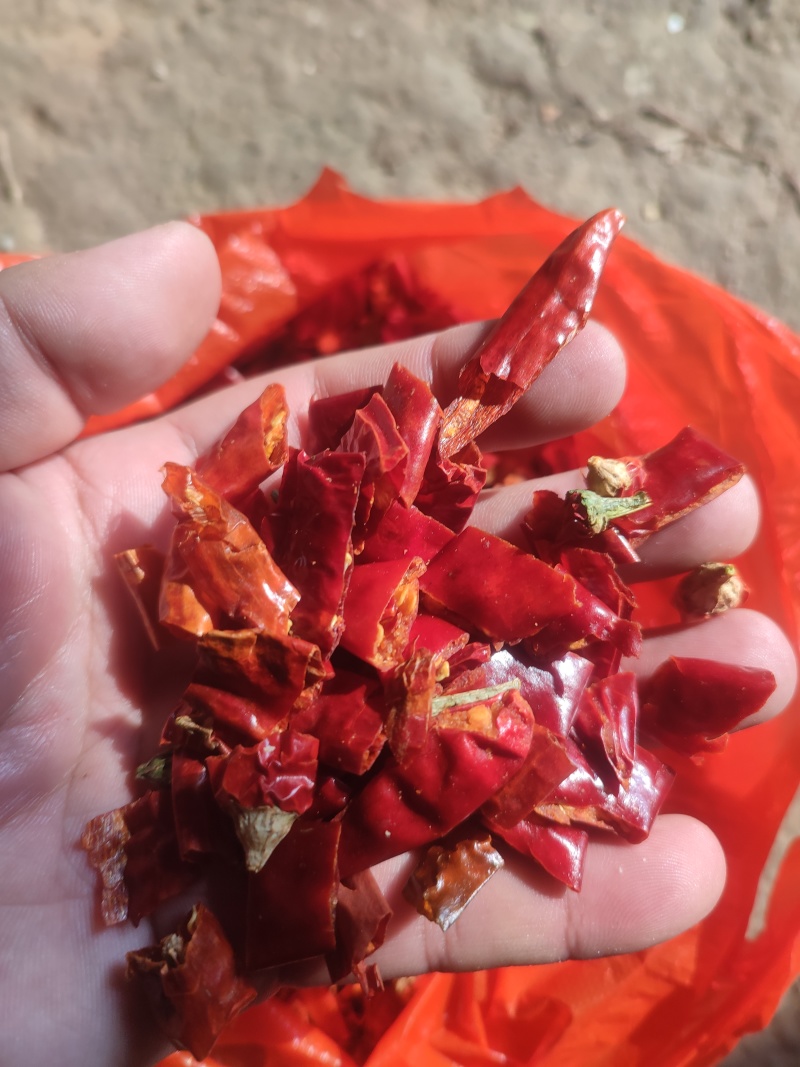 自然风干巨辣干辣椒魔鬼辣小米辣香辣辣