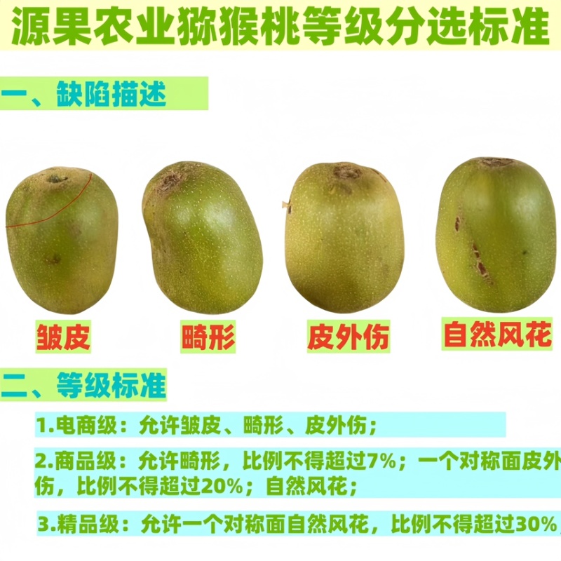5斤金阳红心猕猴桃阳光果商品果产地直发售后无忧