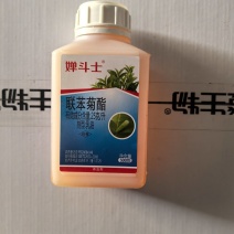 婵斗士联苯菊酯联苯菊脂茶小绿叶蝉农药茶叶杀虫剂