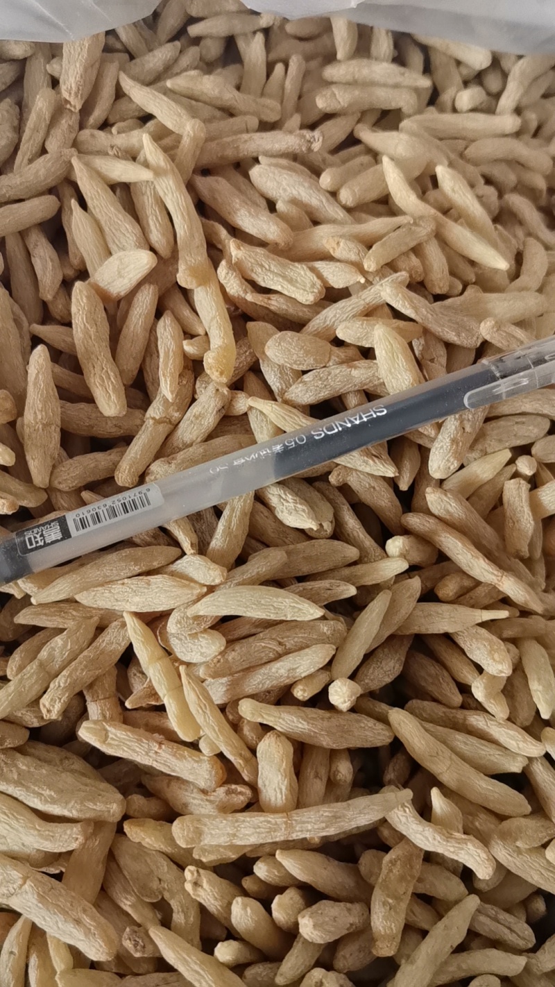 瓦楞子精选货常年有货源需要联系百顺药业