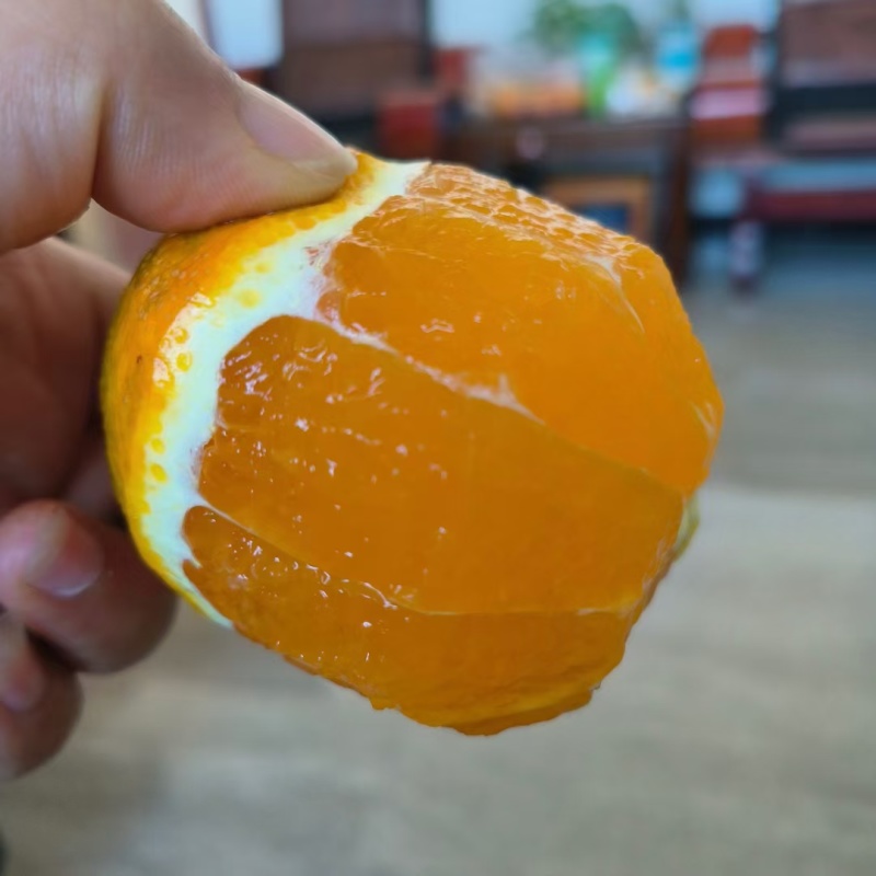砂糖橘