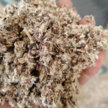 新疆棉壳批发厂家，全新优质壳