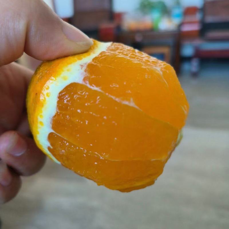 砂糖橘