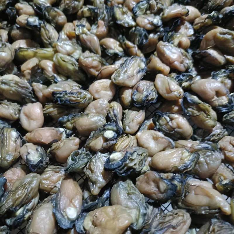 淡干生蚝牡蛎海蛎干无盐淡干质量好