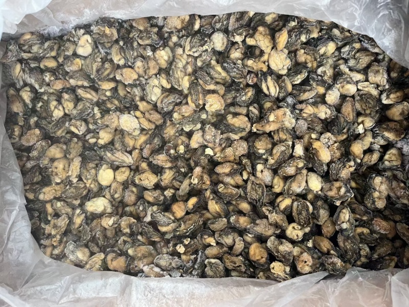 淡干生蚝牡蛎海蛎干无盐淡干质量好