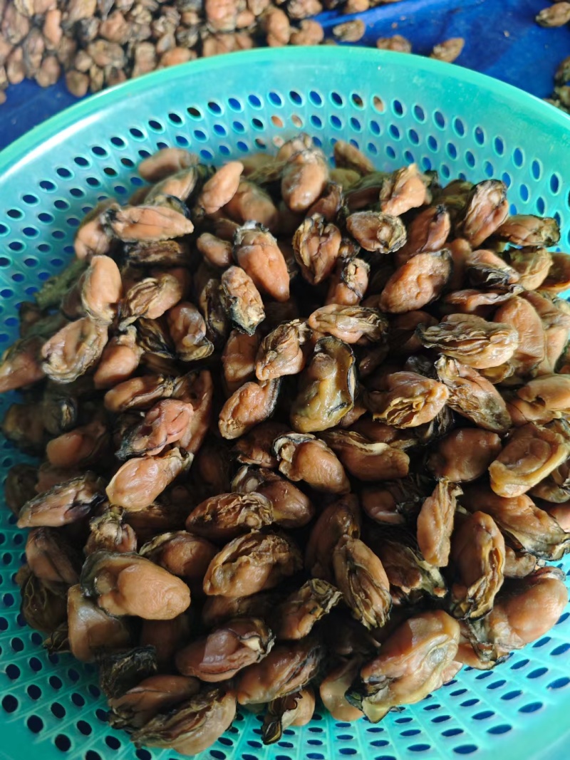 淡干生蚝牡蛎海蛎干无盐淡干质量好