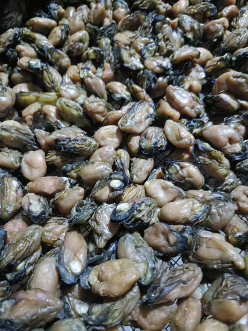 淡干生蚝牡蛎海蛎干无盐淡干质量好
