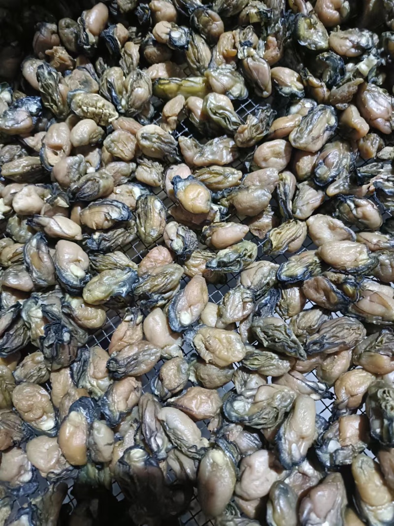 淡干生蚝牡蛎海蛎干无盐淡干质量好