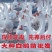 三花鹅苗诚信商家买千送百包打防疫包运输货到满意付款