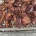 全熟卤牛肉（源头工厂批发一件也是批发价）