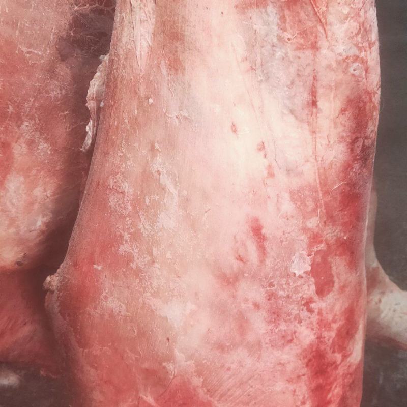 剃肉专用
