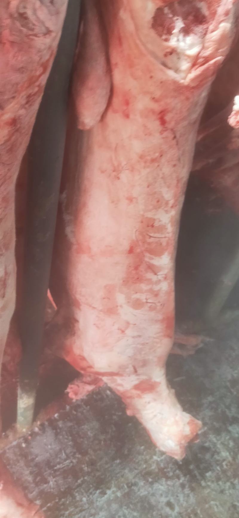 剃肉专用