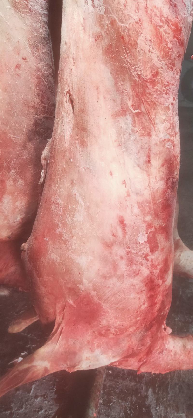剃肉专用
