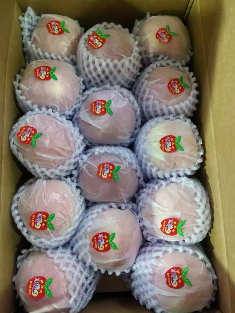 精品冰糖心苹果大量上市品质保证量大从优一手货源