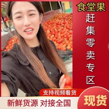 山东西红柿大红硬果西红柿主产地专业代收代发货源充足