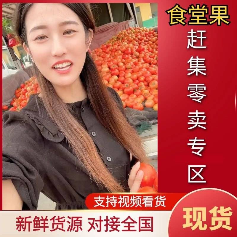 山东西红柿大红硬果西红柿主产地专业代收代发货源充足