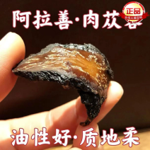 内蒙古正品油肉苁蓉野生肉苁蓉阿拉善正品