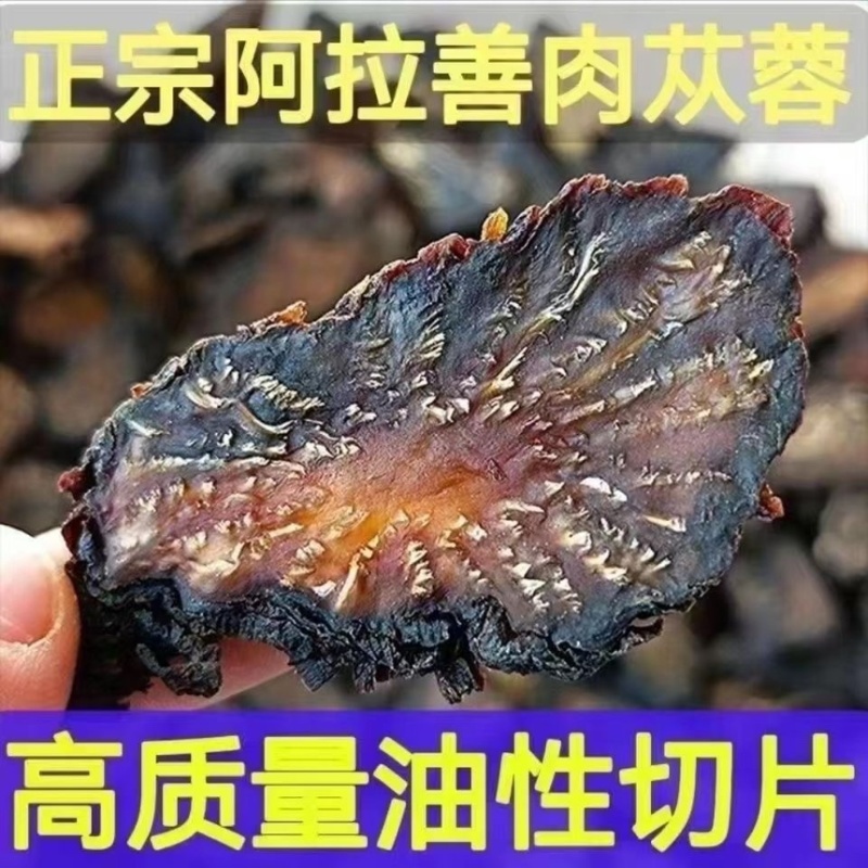 内蒙古正品油肉苁蓉野生肉苁蓉阿拉善正品