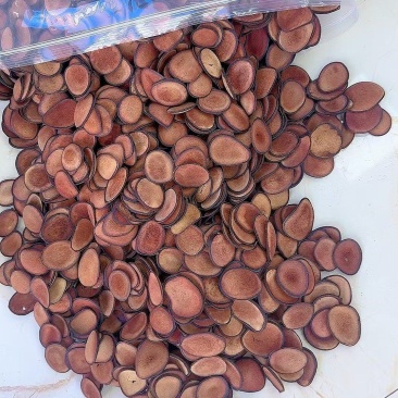 鹿茸片红粉片