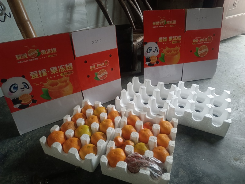 爱媛
