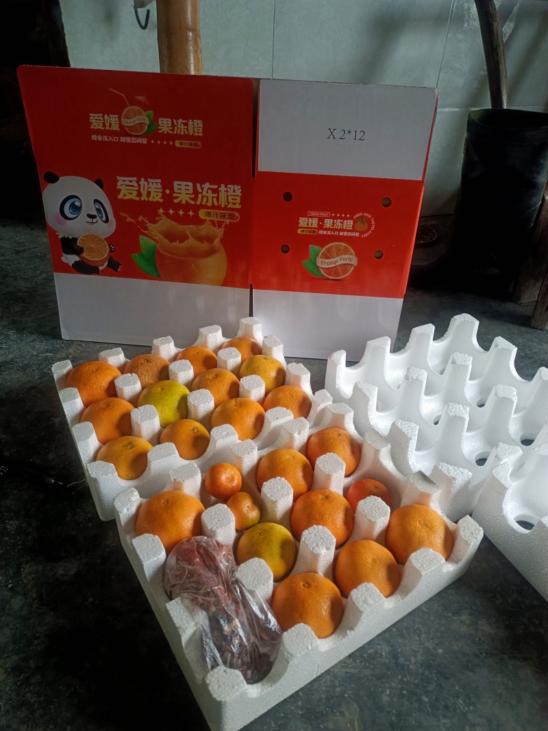 爱媛