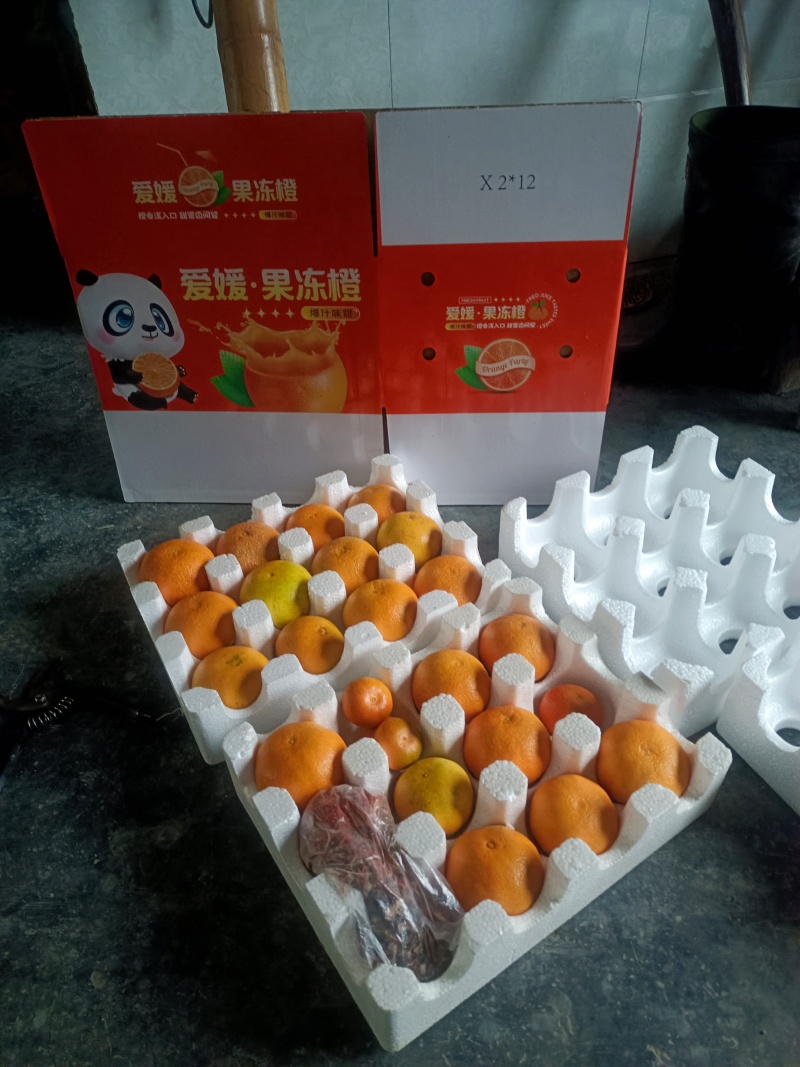 爱媛