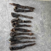 阿拉善野生荒漠肉苁蓉大芸