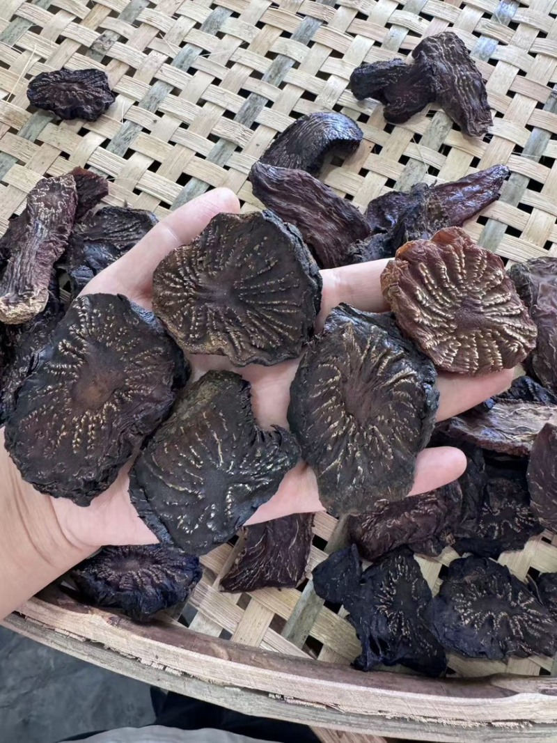 阿拉善野生肉苁蓉切片***自然晾晒无人工干预也叫大芸