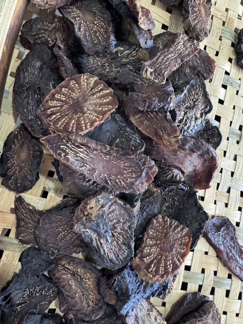 阿拉善野生肉苁蓉切片***自然晾晒无人工干预也叫大芸