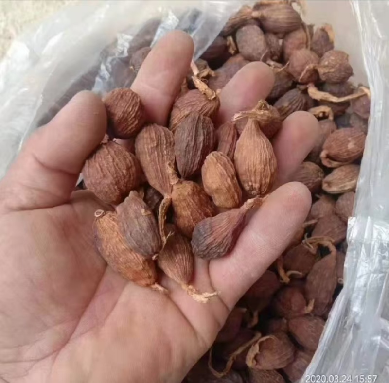 大盈江高寒区大果干草果品质保好价格低全国发货