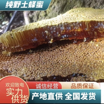 云南大盈江纯野生蜂蜜深山百花蜜假一赔十品质保证