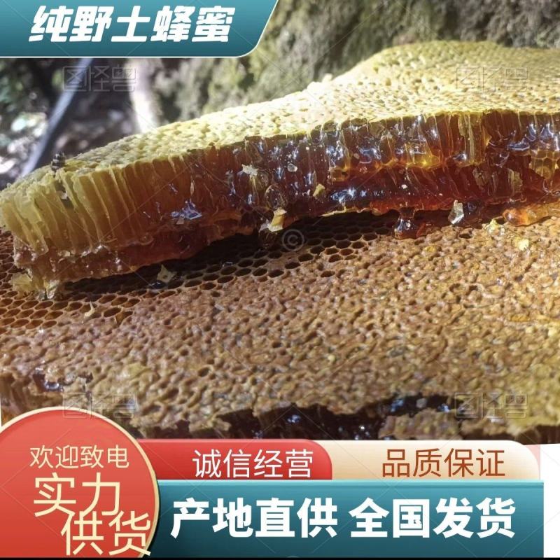 云南大盈江纯野生蜂蜜深山百花蜜假一赔十品质保证