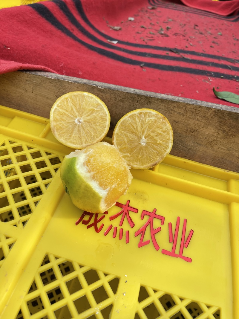 精品云南冰糖橙。产地直发。皮薄肉厚多汁味甜。