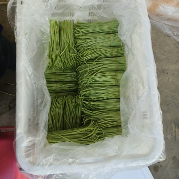 高原精品芦蒿