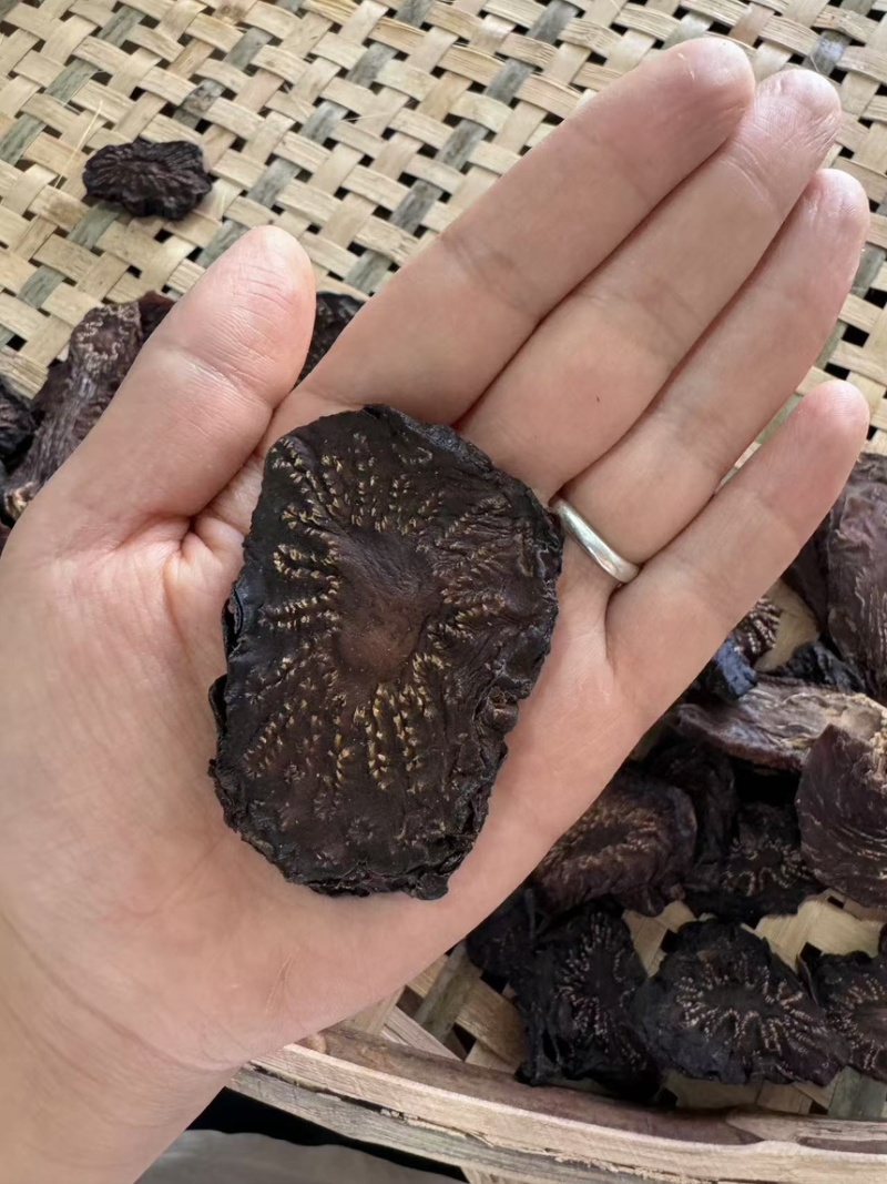 【精品】肉苁蓉切片阿拉善肉苁蓉秋冬季油性泡水泡酒男补天然
